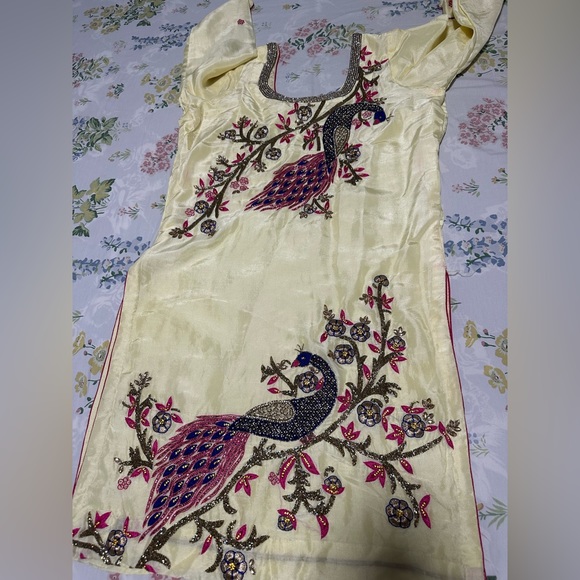 Beautiful peacock design punjabi suit - Picture 3 of 7